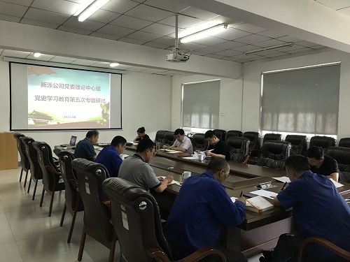 荣耀体育网页版召开党委理论学习中心组党史学习教育第五次专题研讨